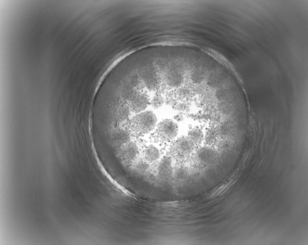 X0000053010855200508051158