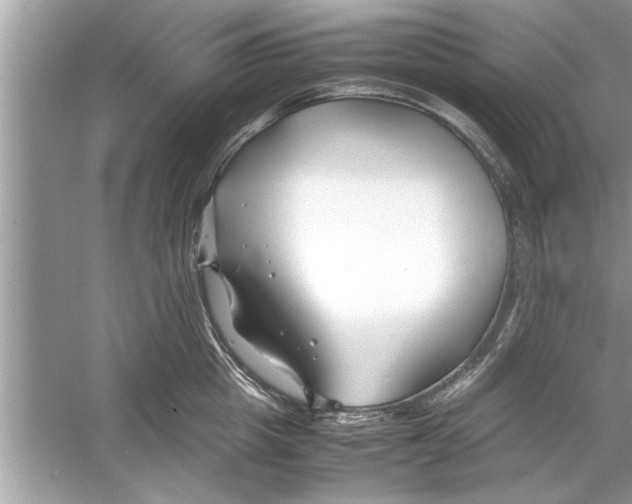 X0000053010857200508051158