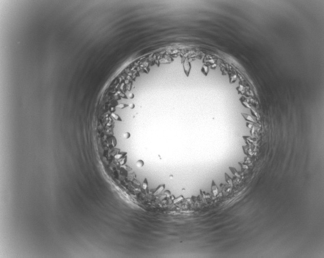 X0000053010859200508051158