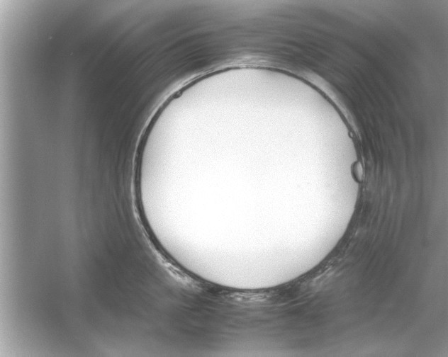 X0000053010861200508051158