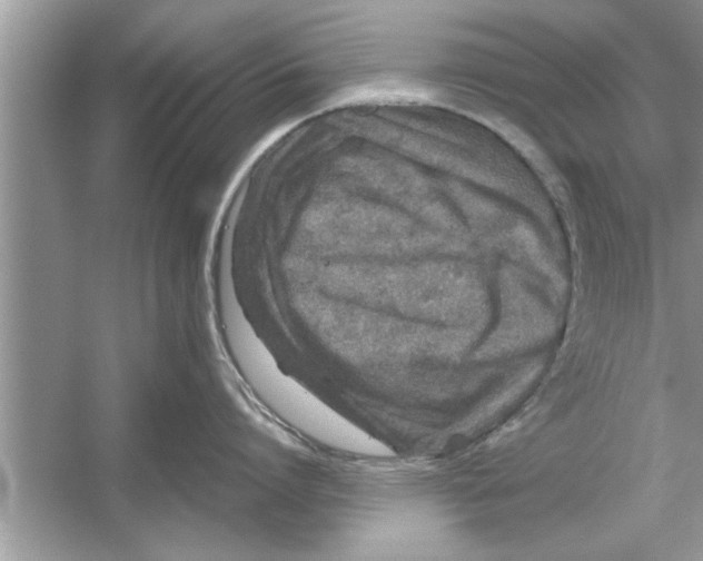 X0000053010864200508051158