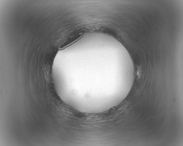 X0000053010867200508051158