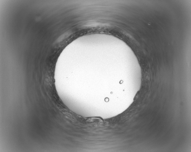 X0000053010869200508051158