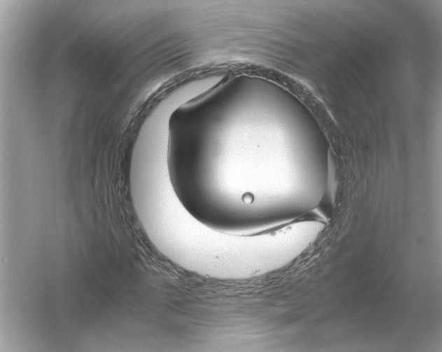 X0000053010871200508051158