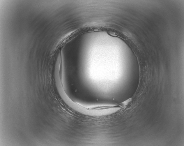 X0000053010872200508051158