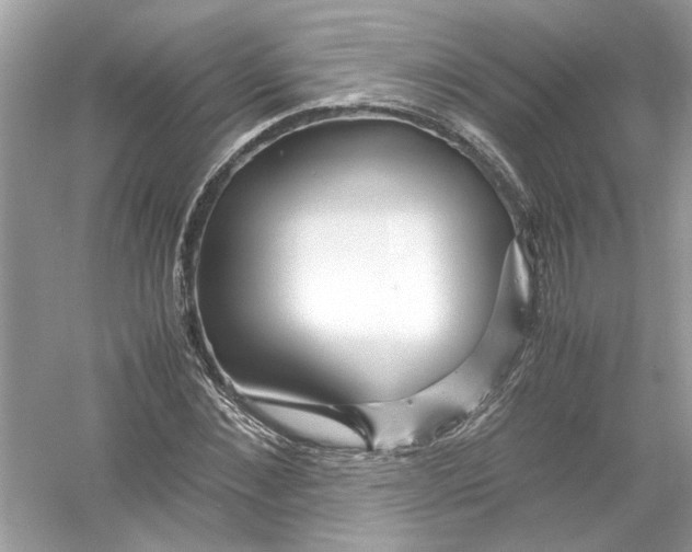 X0000053010876200508051157