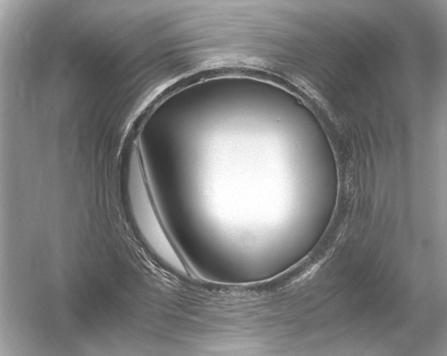 X0000053010877200508051157