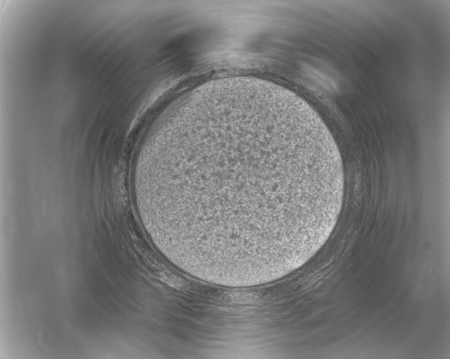 X0000053010878200508051157