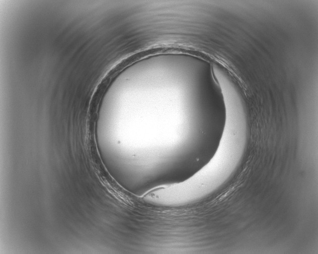 X0000053010880200508051157