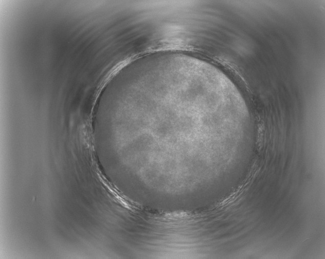 X0000053010882200508051157