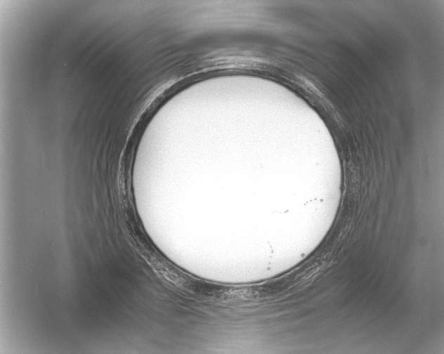 X0000053010883200508051157