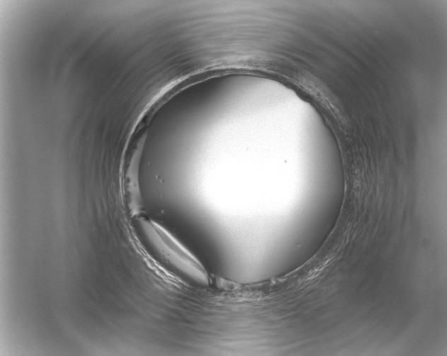 X0000053010884200508051157