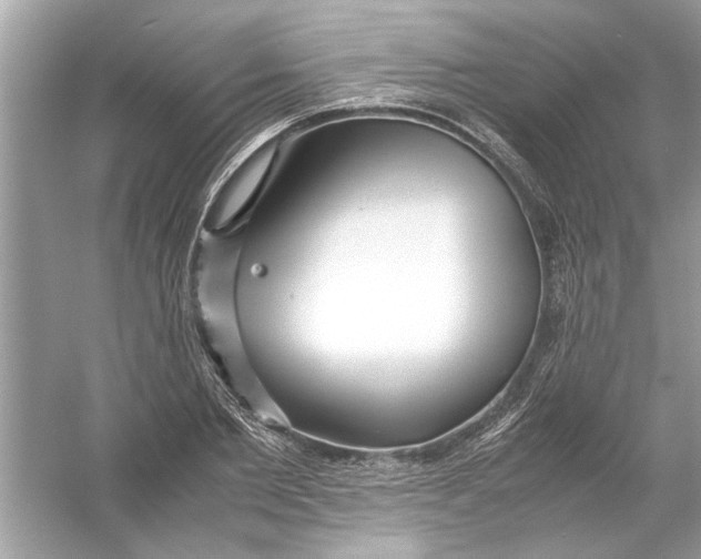 X0000053010885200508051157