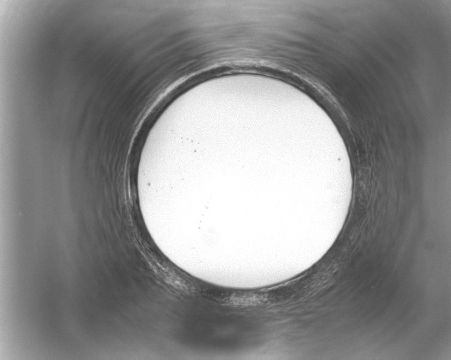 X0000053010887200508051157