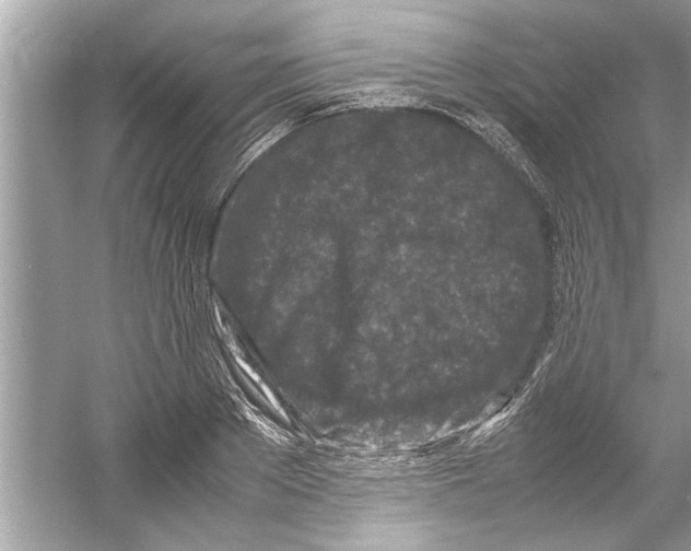 X0000053010889200508051157