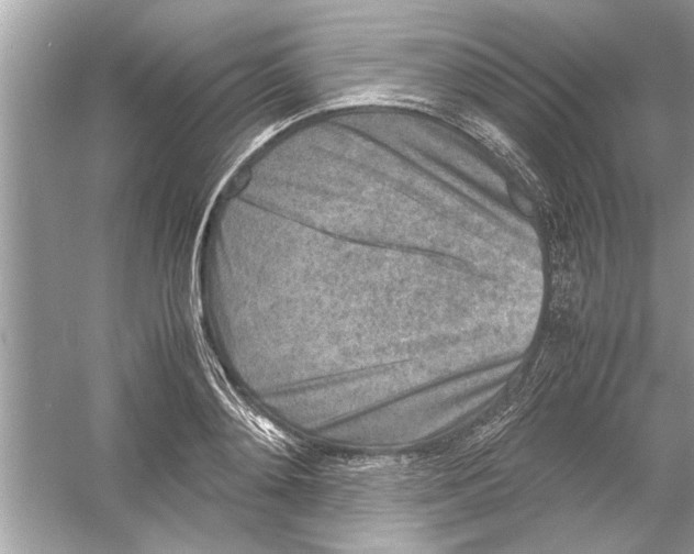 X0000053010892200508051157