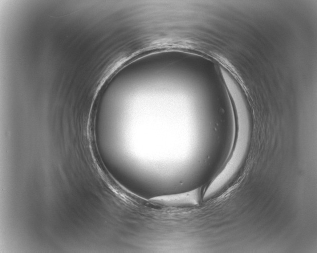 X0000053010893200508051157