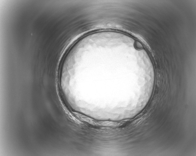 X0000053010895200508051157