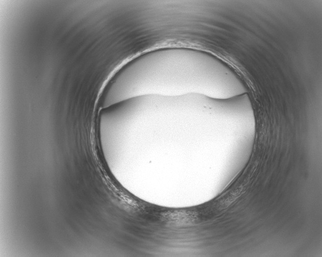 X0000053010896200508051157