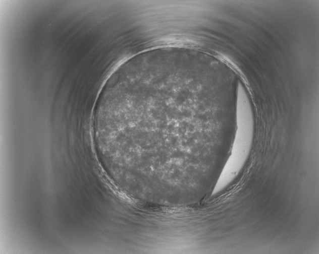 X0000053010899200508051157