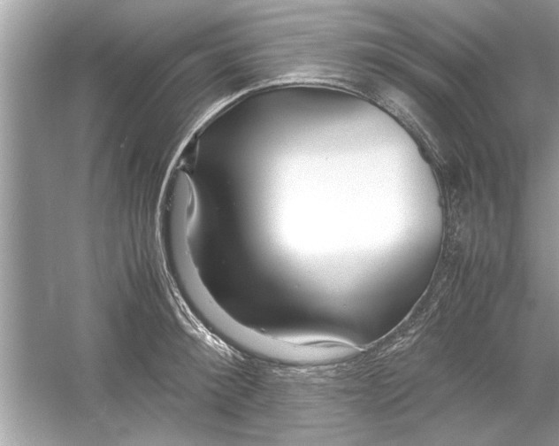 X0000053010900200508051157