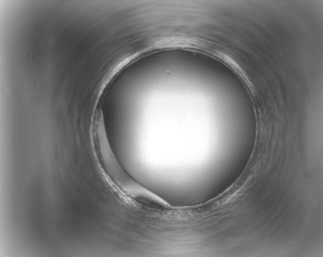 X0000053010901200508051157