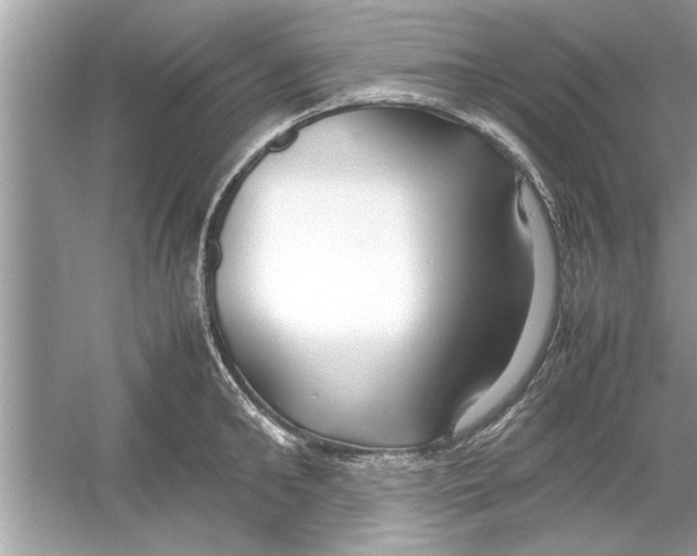 X0000053010902200508051157