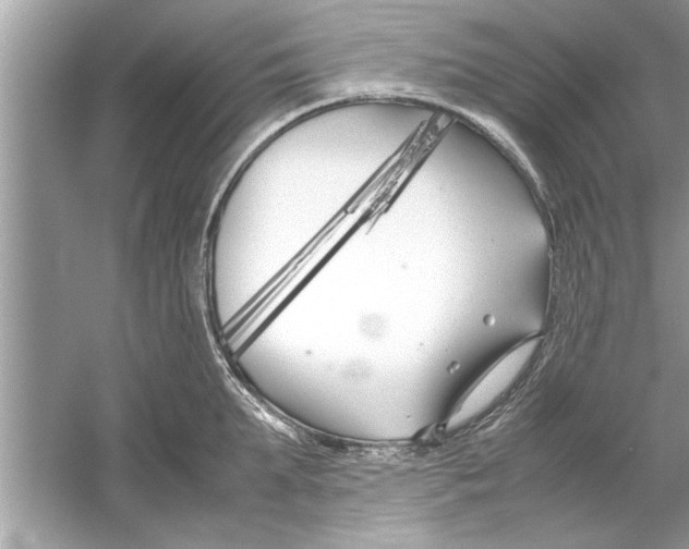 X0000053010903200508051157