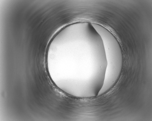 X0000053010904200508051157