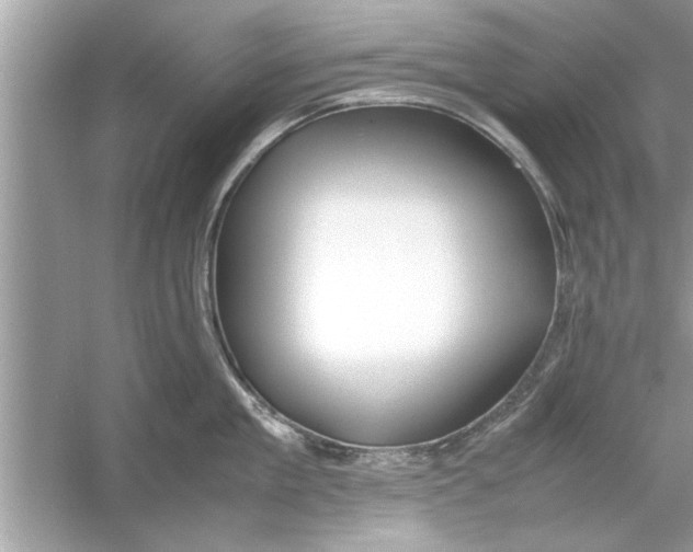 X0000053010909200508051157