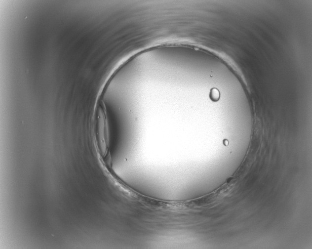 X0000053010911200508051157