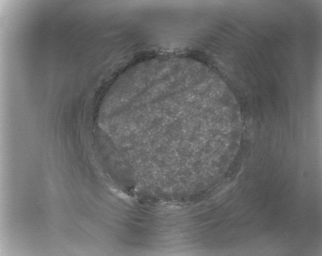 X0000053010913200508051156