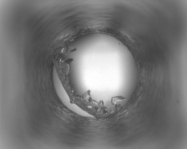 X0000053010917200508051156