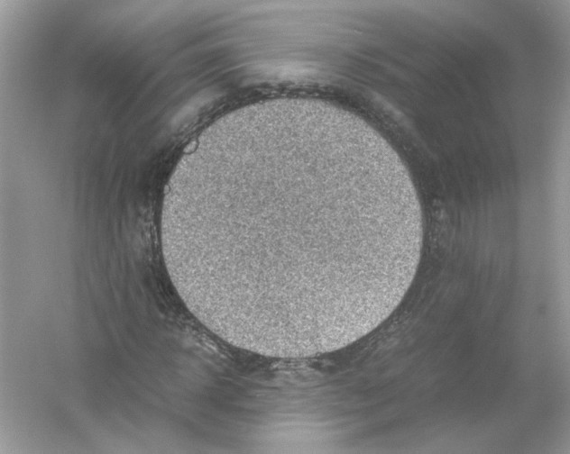 X0000053010918200508051156