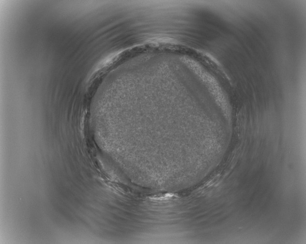 X0000053010919200508051156