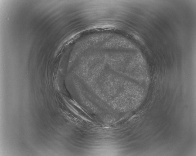 X0000053010920200508051156