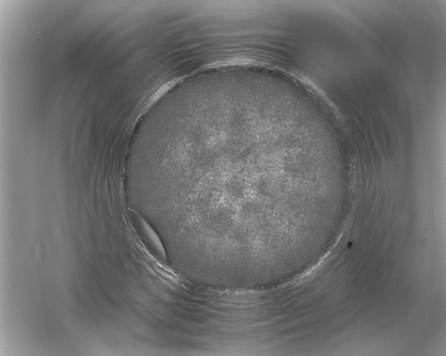 X0000053010921200508051156