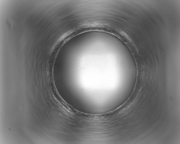 X0000053010922200508051156