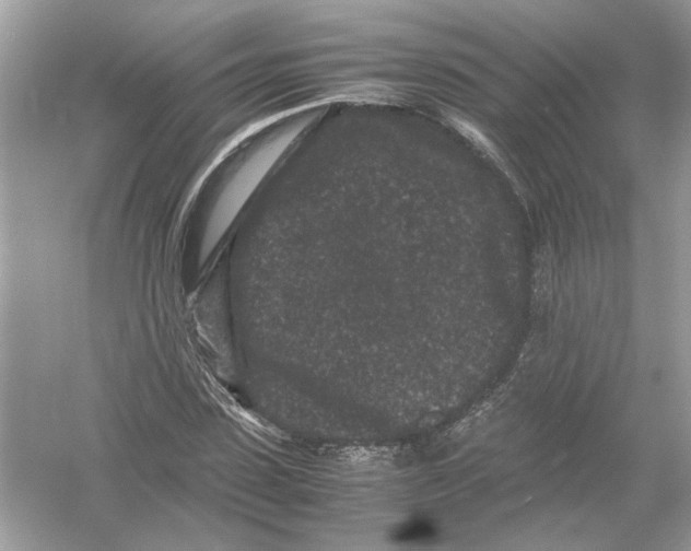 X0000053010923200508051156