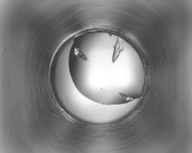 X0000053010924200508051156