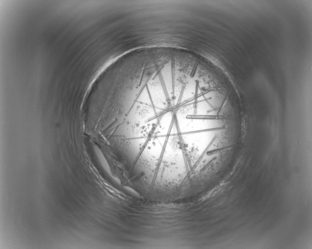 X0000053010925200508051156