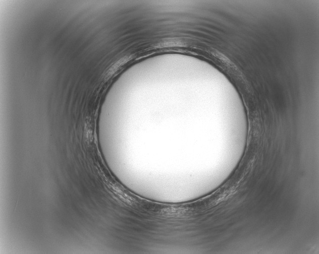 X0000053010929200508051156