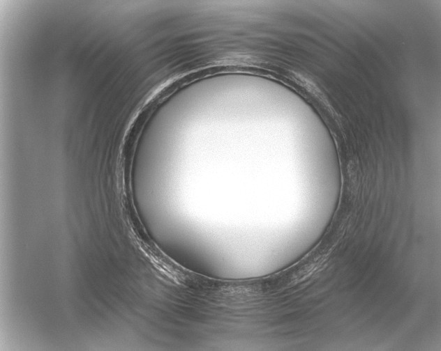 X0000053010931200508051156