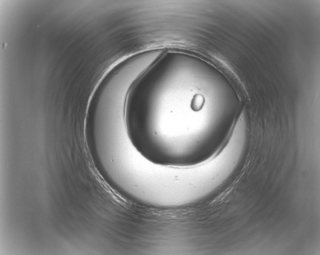 X0000053010932200508051156