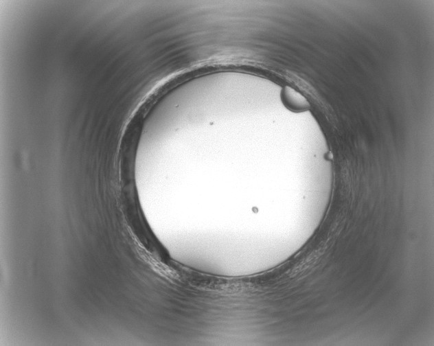 X0000053010934200508051156