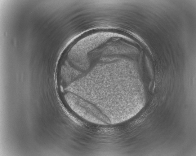 X0000053010935200508051156