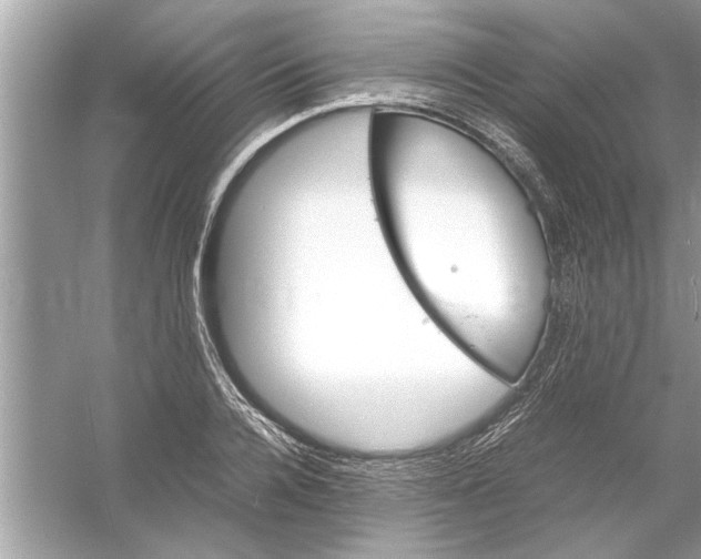 X0000053010936200508051156