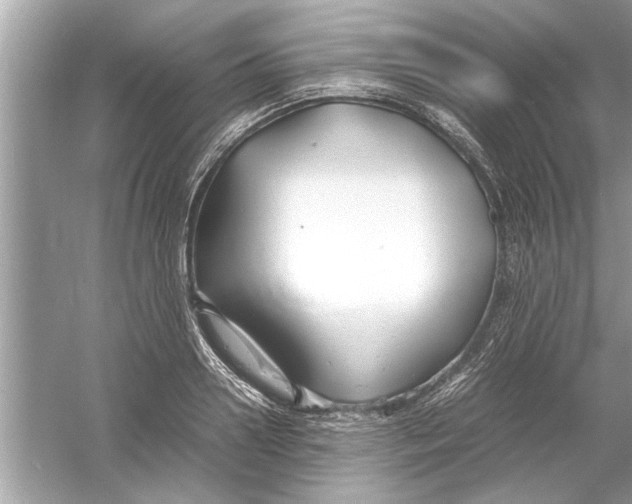 X0000053010938200508051156