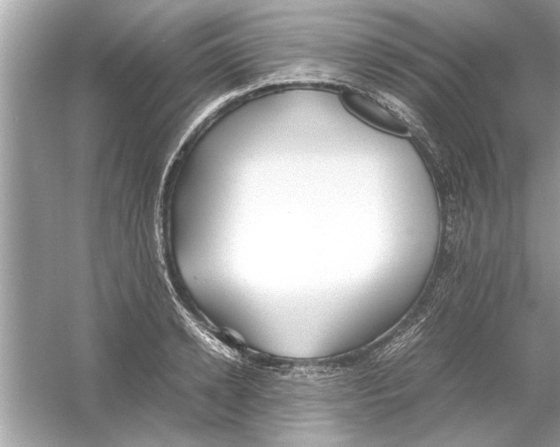 X0000053010942200508051157