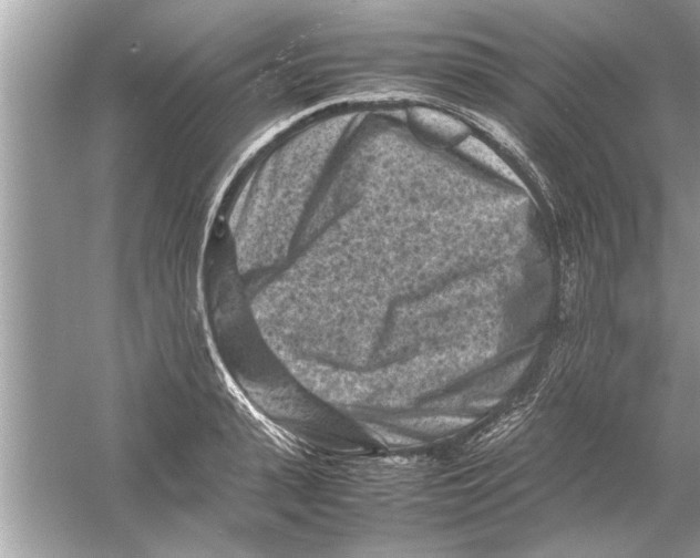 X0000053010943200508051157